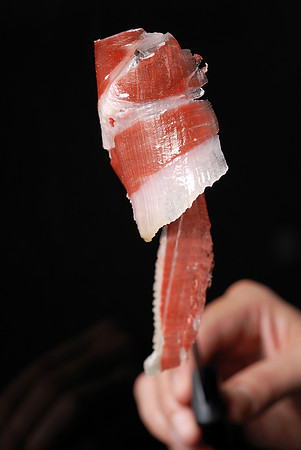 Ibéricos Torreón