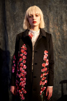 Alice Archer Presentation